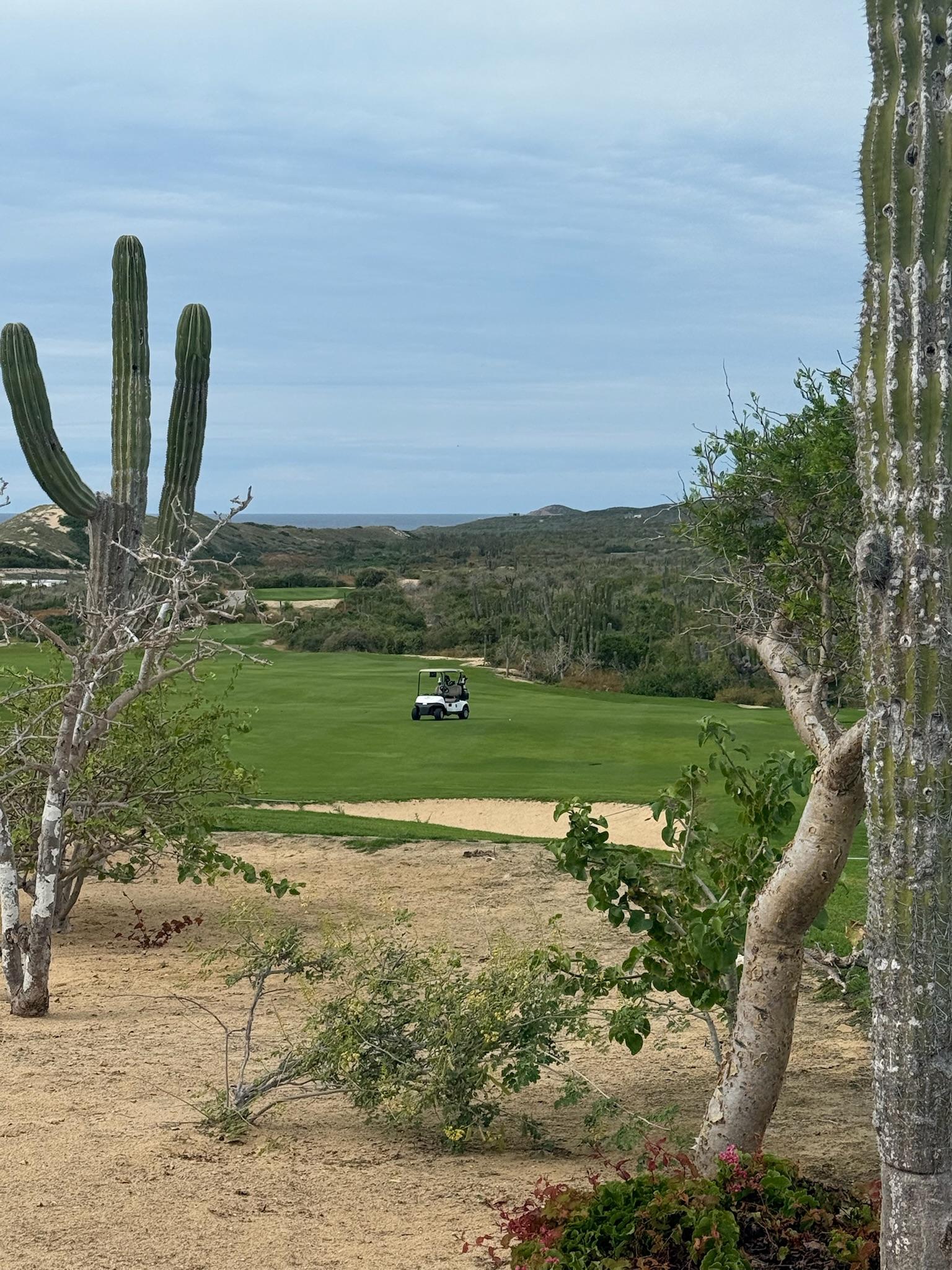 Los Cabos 2025 - Photo 10